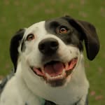 phoebewiththespots profile picture