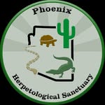 phoenixherp profile picture