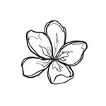 phoolishlyyours profile picture