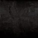 photocriticgallery profile picture