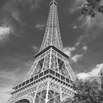 photography.com_._ profile picture