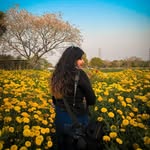 photo_khana profile picture