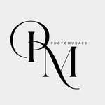 photomuralsbyayush profile picture