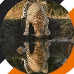photoquestadventures profile picture