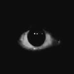 physicknoise profile picture