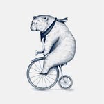 picaron.ba profile picture