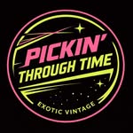 pickinthroughtime profile picture