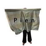 pienstudios profile picture