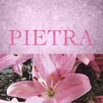 pietramia profile picture