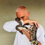 pietrino21 profile picture