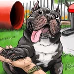 piggiebully profile picture