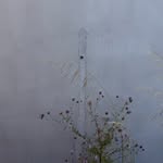 pilato_terrassenhaus profile picture