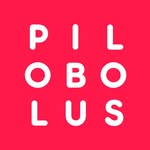 pilobolus profile picture