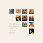 pinacotecacarlocontini profile picture