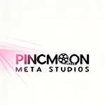 pincmoonmetastudios profile picture
