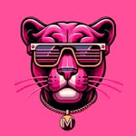 pink_panthermadrid profile picture