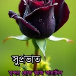 pinku68606 profile picture