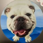 pinky_and_watson profile picture