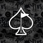 pinsandaces profile picture