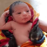 pintu60621 profile picture
