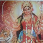 pintumeena5658 profile picture