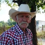 pipeelgatonegro profile picture