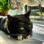 pippin_onall4s profile picture