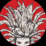 pistola.agave profile picture