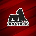 pitbullbrothers profile picture