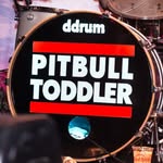 pitbulltoddler profile picture