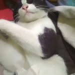 pitriaryanti9 profile picture