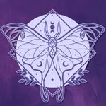 pixelwingsofficial profile picture