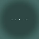 pixie_wedding profile picture