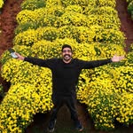 pixupstoriesbyabhi profile picture