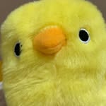 piyorinko_stagram profile picture