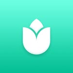 plantin.app profile picture