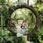 plantpotting profile picture