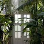 plantsindecor profile picture
