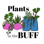 plantsinthebuff profile picture