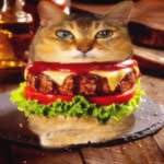 plataprincesss profile picture