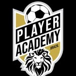 player_academybrazil profile picture