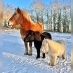 playlovelearn.se profile picture