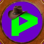 playnavaquejada profile picture
