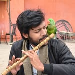 playsanket profile picture