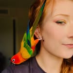 plutobirdie profile picture