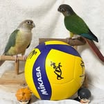 pnkt_camera profile picture