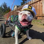 pnw_captain_jack profile picture