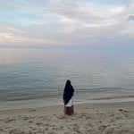po.pi7333 profile picture
