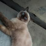 po.roroo99 profile picture