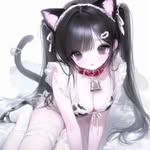 pocen17 profile picture